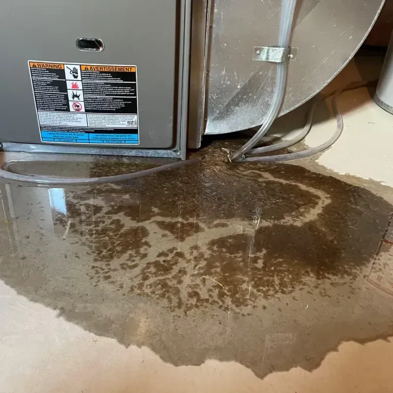 Appliance Leak Cleanup in Jackson County, IN